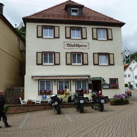 Waldhorn Hotel