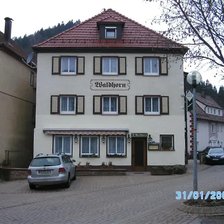 Waldhorn *